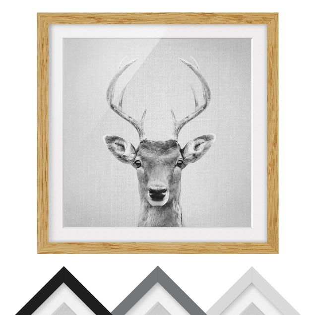 Obrazy nowoczesny Deer Heinrich Black And White