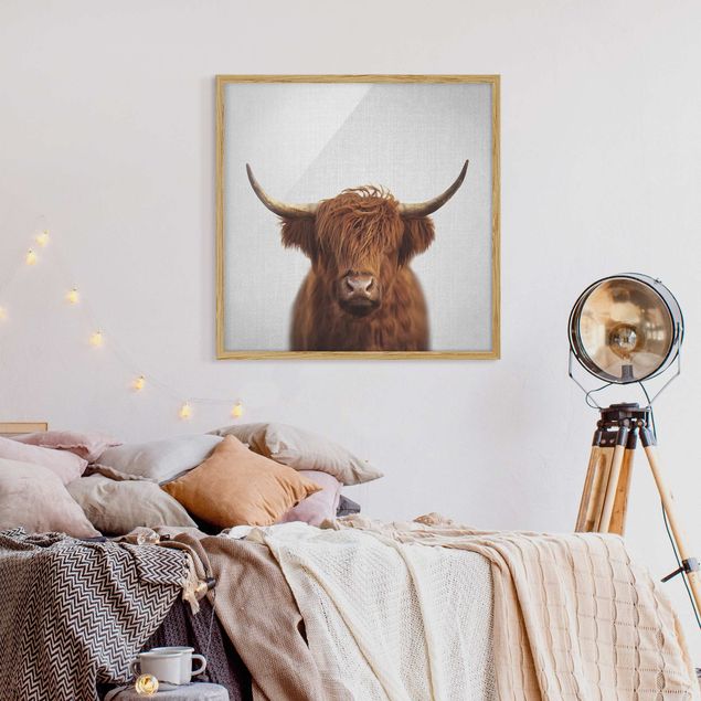 Obrazy w ramie zwierzęta Highland Cow Harry