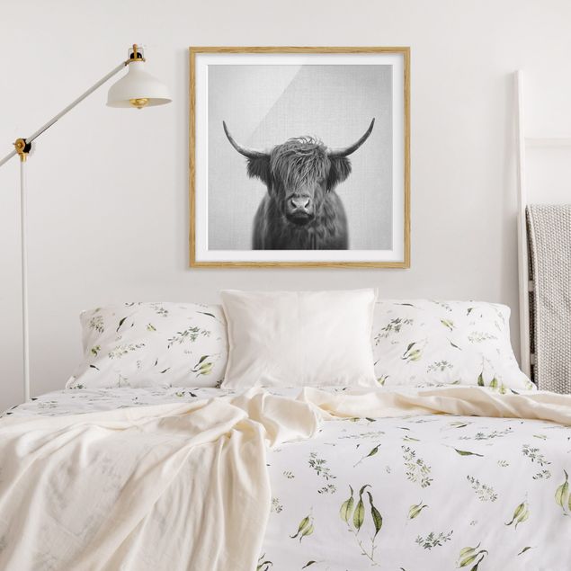 Obrazy w ramie zwierzęta Highland Cow Harry Black And White