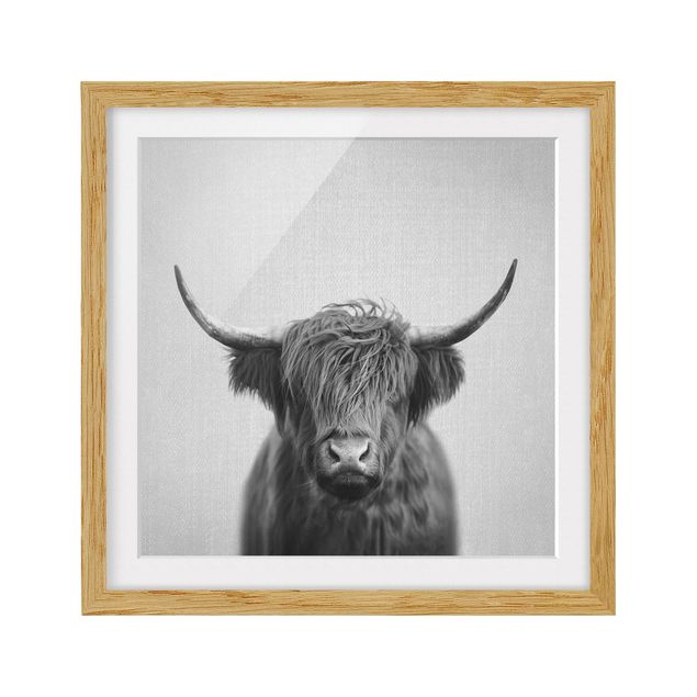 Obrazy do salonu nowoczesne Highland Cow Harry Black And White