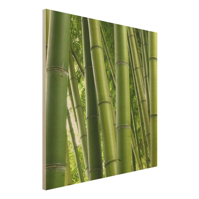 Dekoracja do kuchni Drzewa bambusowe Nr 1