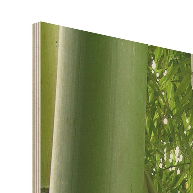 Obraz z drewna - Drzewa bambusowe Nr 1