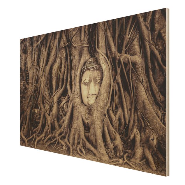 Obrazy na ścianę Budda w Ayutthaya otoczony korzeniami drzew w kolorze brązowym