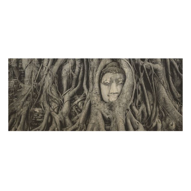 Obrazy Budda w Ayutthaya otoczony korzeniami drzew, czarno-biały