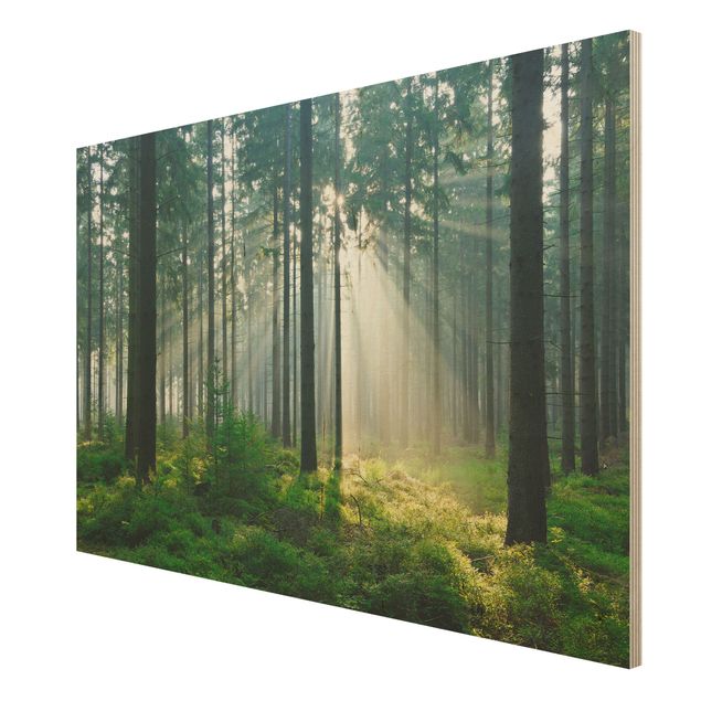 Obrazy z drewna Świetlany las
