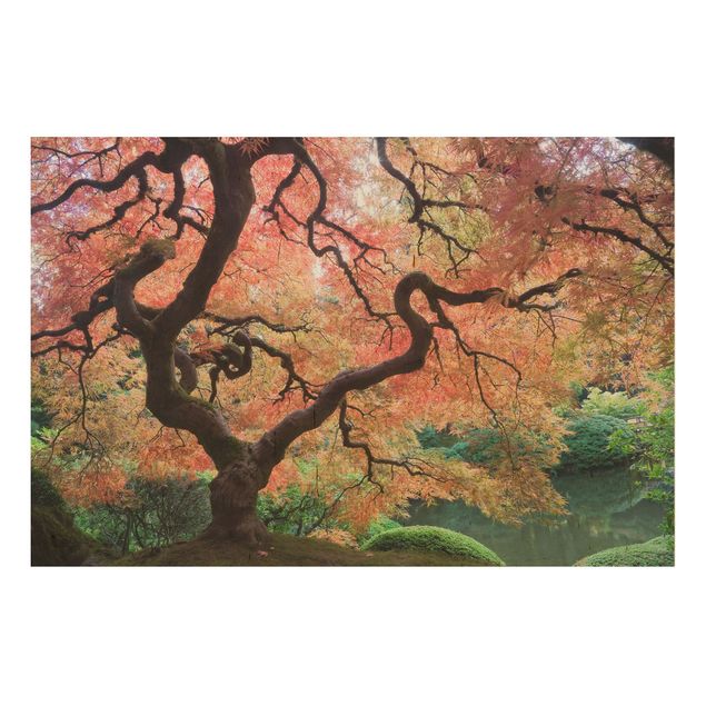 Obrazy Ogród japoński