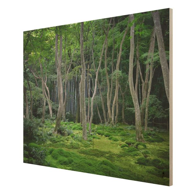Obrazy z drewna Las japoński