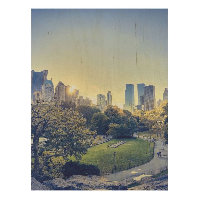Obrazy na ścianę Pokojowy Central Park