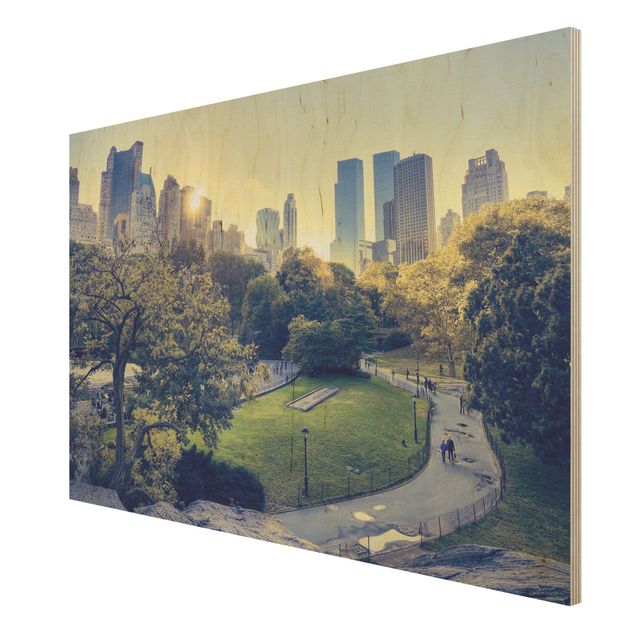 Obrazy z drewna Pokojowy Central Park