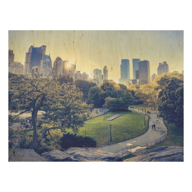 Obrazy na ścianę Pokojowy Central Park
