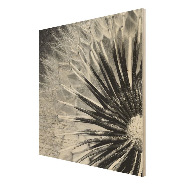 Obrazy z drewna Dandelion czarno-biały
