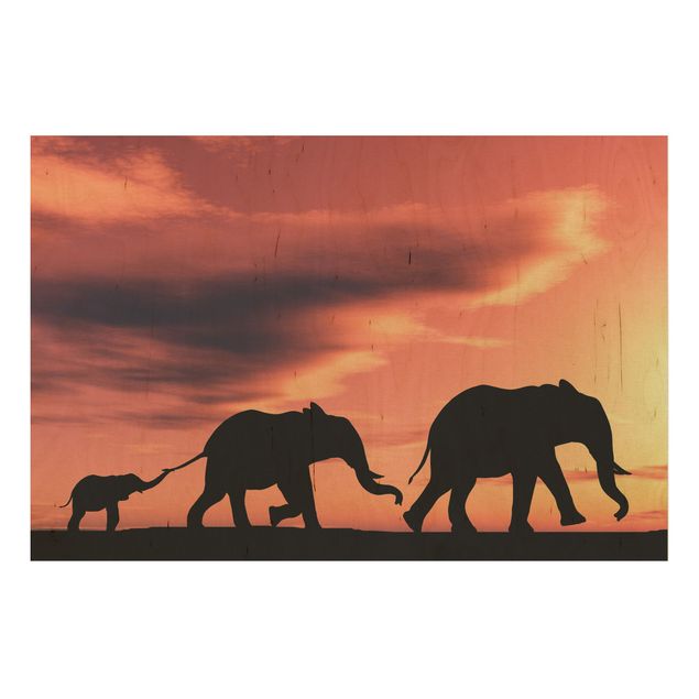 Obrazy Rodzina słoni w Sawannie