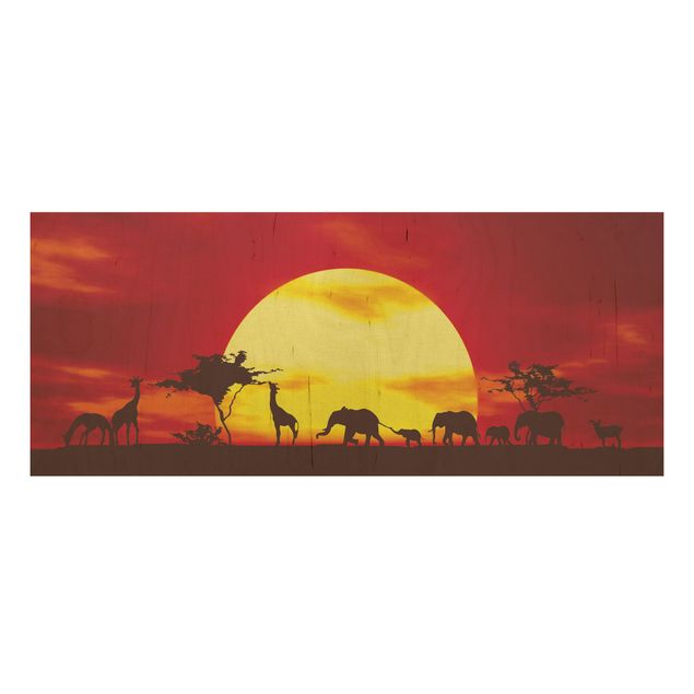Obrazy Karawana o zachodzie słońca
