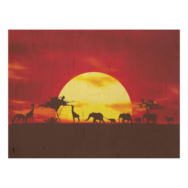 Obrazy Karawana o zachodzie słońca