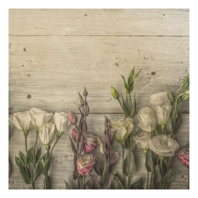 Obrazy na ścianę Tulipanowa róża Shabby Wood Look