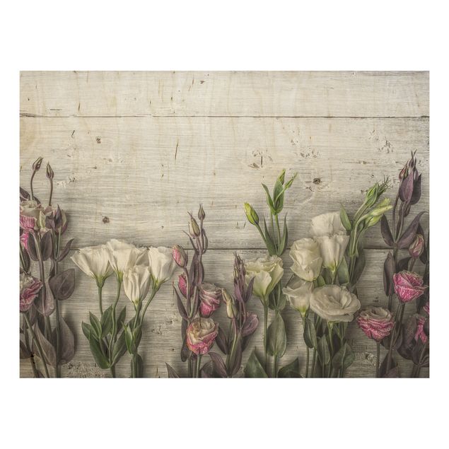 Obrazy na ścianę Tulipanowa róża Shabby Wood Look