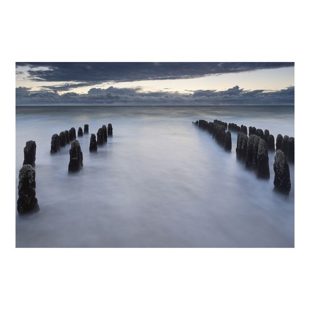 Fototapety Drewniane groty na Morzu Północnym na wyspie Sylt
