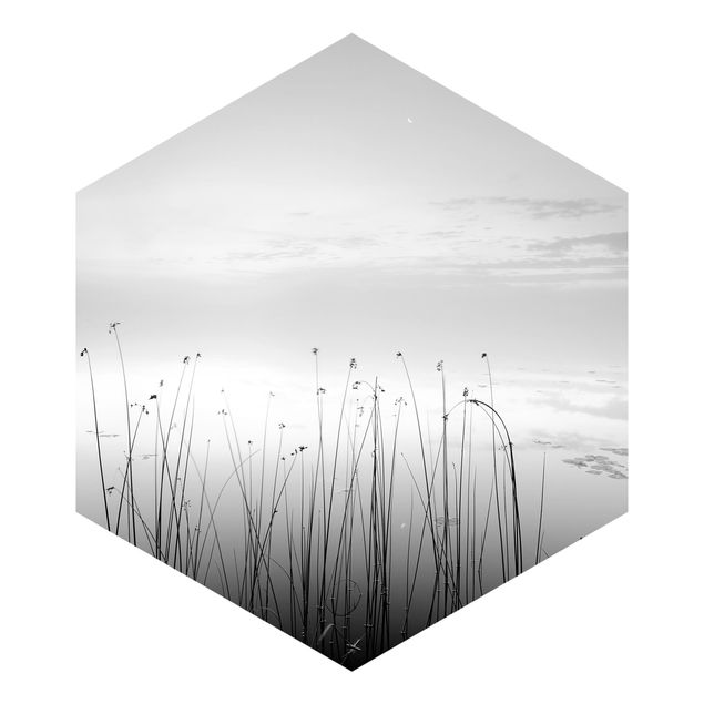 Fototapety Idylla nad jeziorem czarno-biała