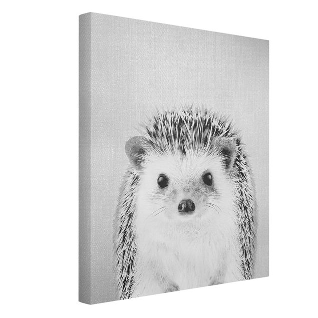 Obrazy nowoczesne Hedgehog Ingolf Black And White