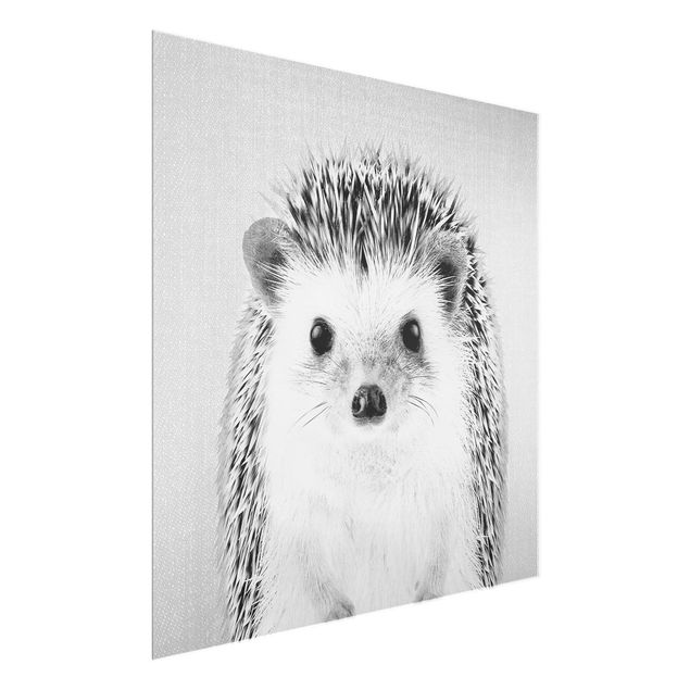 Obrazy na szkle zwierzęta Hedgehog Ingolf Black And White