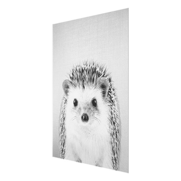 Obrazy nowoczesny Hedgehog Ingolf Black And White