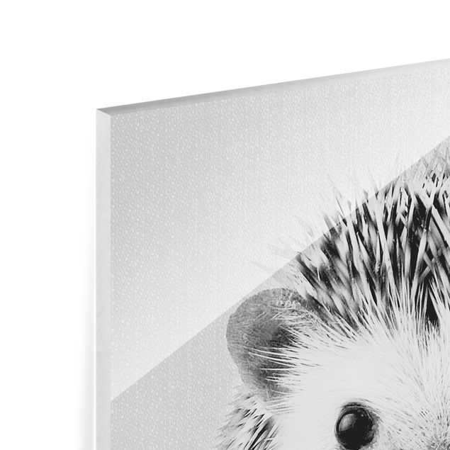 Obrazy ze zwierzętami Hedgehog Ingolf Black And White