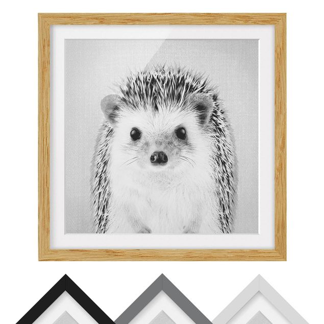 Obrazy nowoczesny Hedgehog Ingolf Black And White