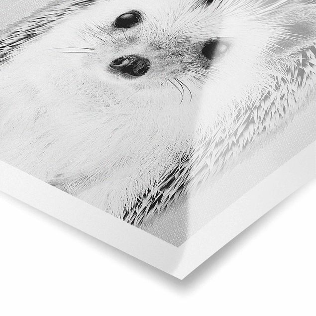 Czarno białe obrazki Hedgehog Ingolf Black And White