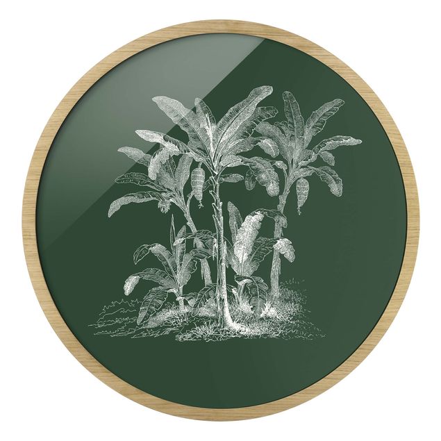 Obrazy krajobraz Illustration Banana Trees On Green