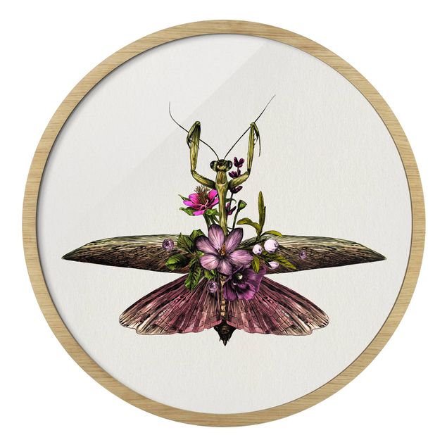 Zwierzęta obrazy Illustration Floral Mantis