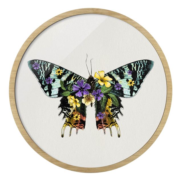 Obrazy nowoczesny Illustration Floral Madagascan Butterfly