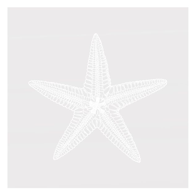 Folia okienna - Illustration Starfish