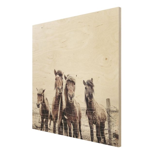 Obrazy drewniane Konie na wyspach