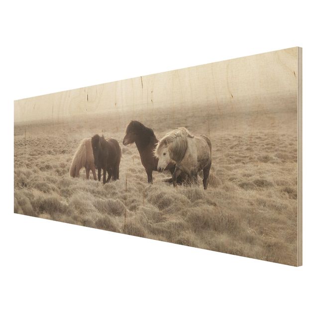 Obrazy z drewna Islandzkie dzikie konie