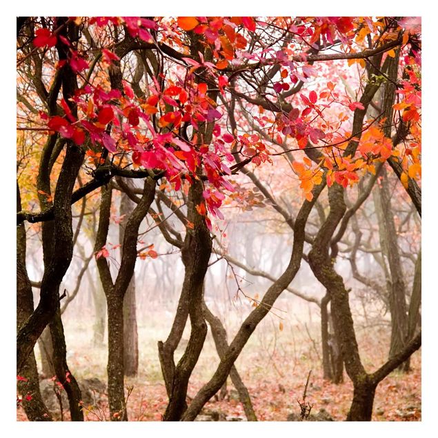 Fototapeta - Japonia jesienią