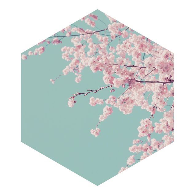 Sześciokątna tapeta samoprzylepna - Japoński kwiat wiśni
