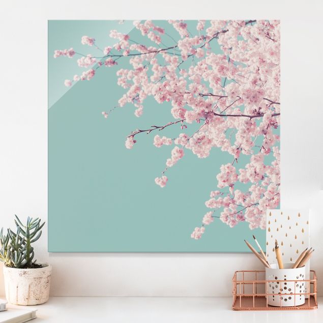 Obrazy na szkle kwadrat Japońskie kwiaty wiśni