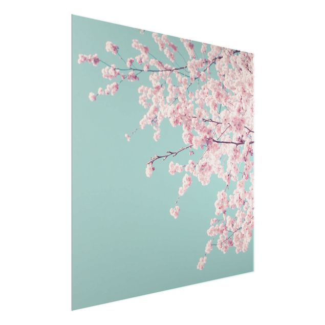 Obrazy do salonu nowoczesne Japońskie kwiaty wiśni