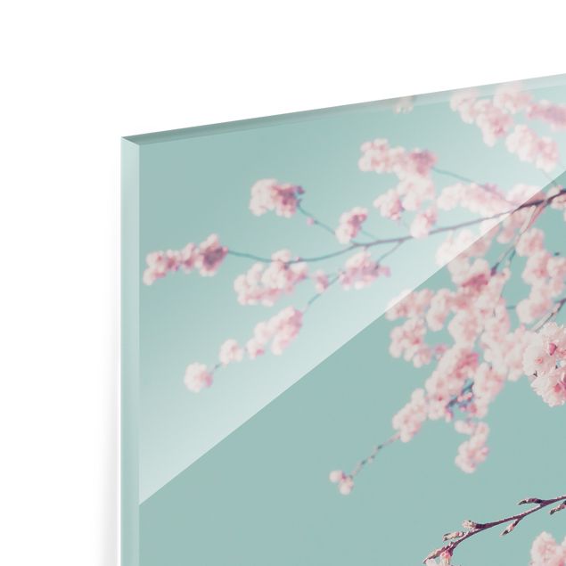 Glas Magnetboard Japońskie kwiaty wiśni