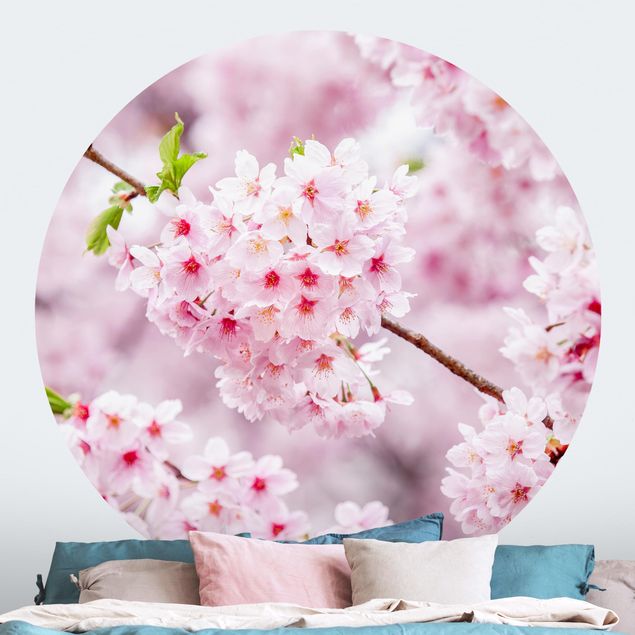 Różowa tapeta Japońskie kwiaty wiśni
