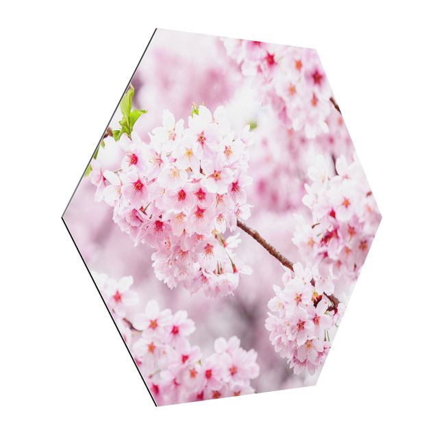 Obrazy nowoczesne Japońskie kwiaty wiśni