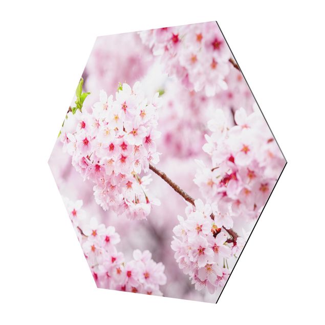 Obrazy kwiatowe Japońskie kwiaty wiśni