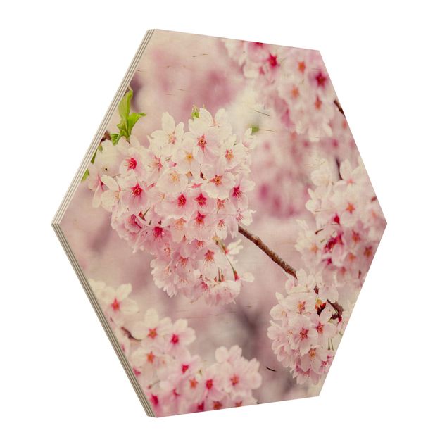 Obrazy nowoczesny Japońskie kwiaty wiśni
