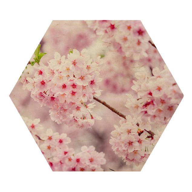 Różowy obraz Japońskie kwiaty wiśni