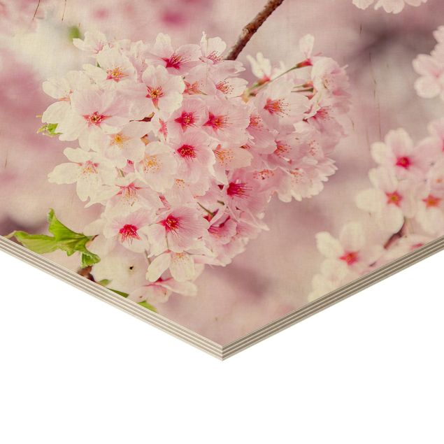 Obrazy na drewnie Japońskie kwiaty wiśni