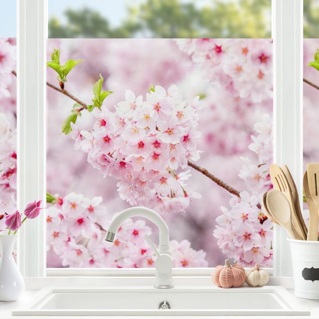 Folia okienna do sypialni Japońskie kwiaty wiśni