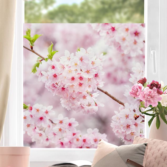 Folia okienna do salonu Japońskie kwiaty wiśni