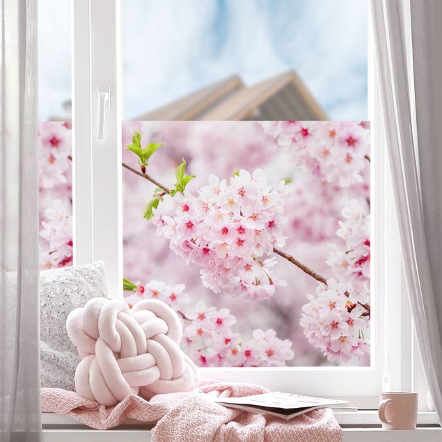 Folia okienna kolorowy Japońskie kwiaty wiśni