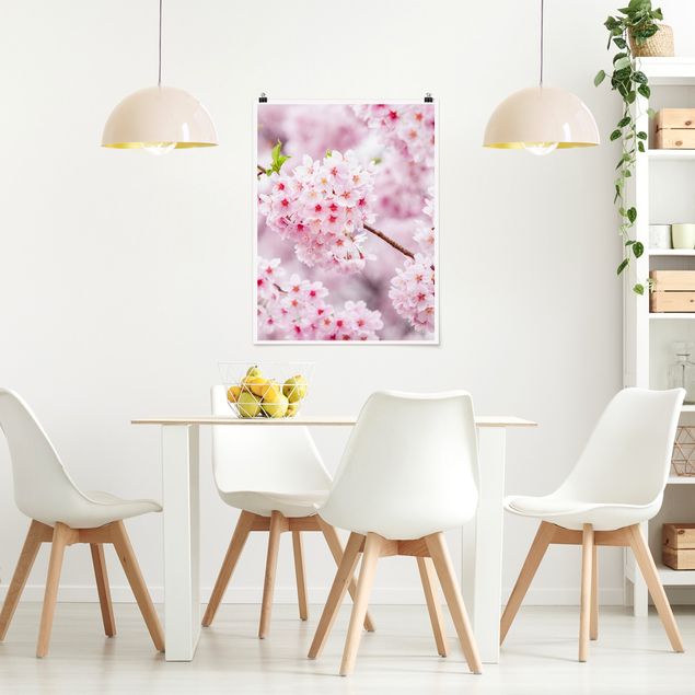 Obrazy do salonu nowoczesne Japońskie kwiaty wiśni