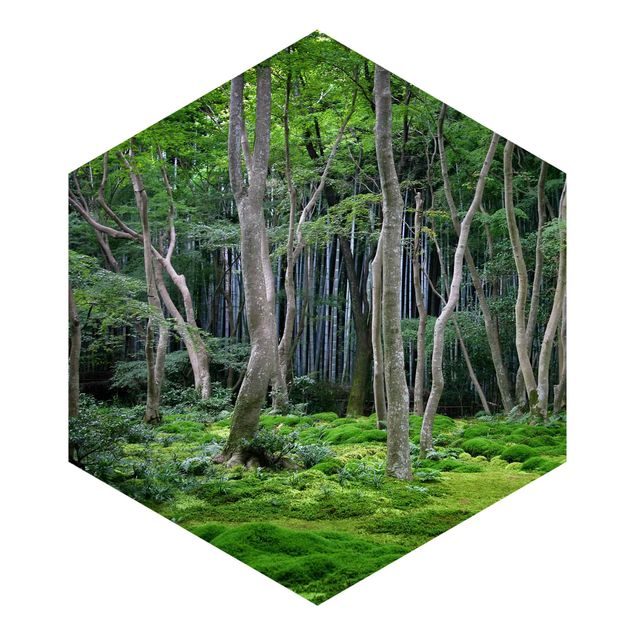 Sześciokątna tapeta samoprzylepna - Las japoński